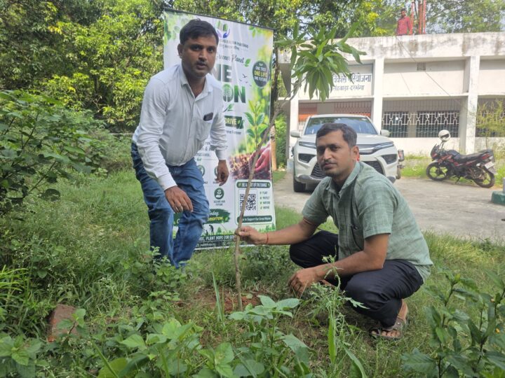 Two volunteers plant a sapling beside the One Million Trees banner